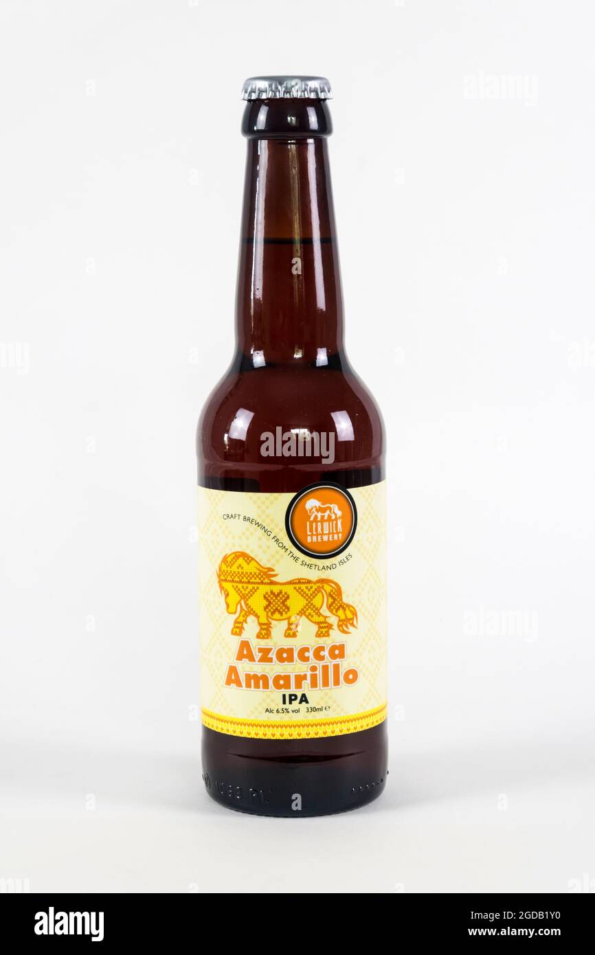 Azacca Amarillo IPA is a limited edition vegan-friendly craft beer from the Lerwick Brewery on Shetland.  It has a strength of 6.5% ABV. Stock Photo