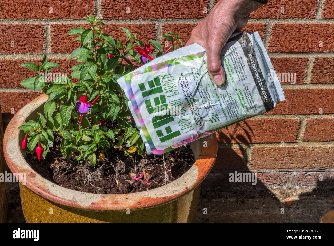 Nitrogen cycle hires stock photography and images Alamy