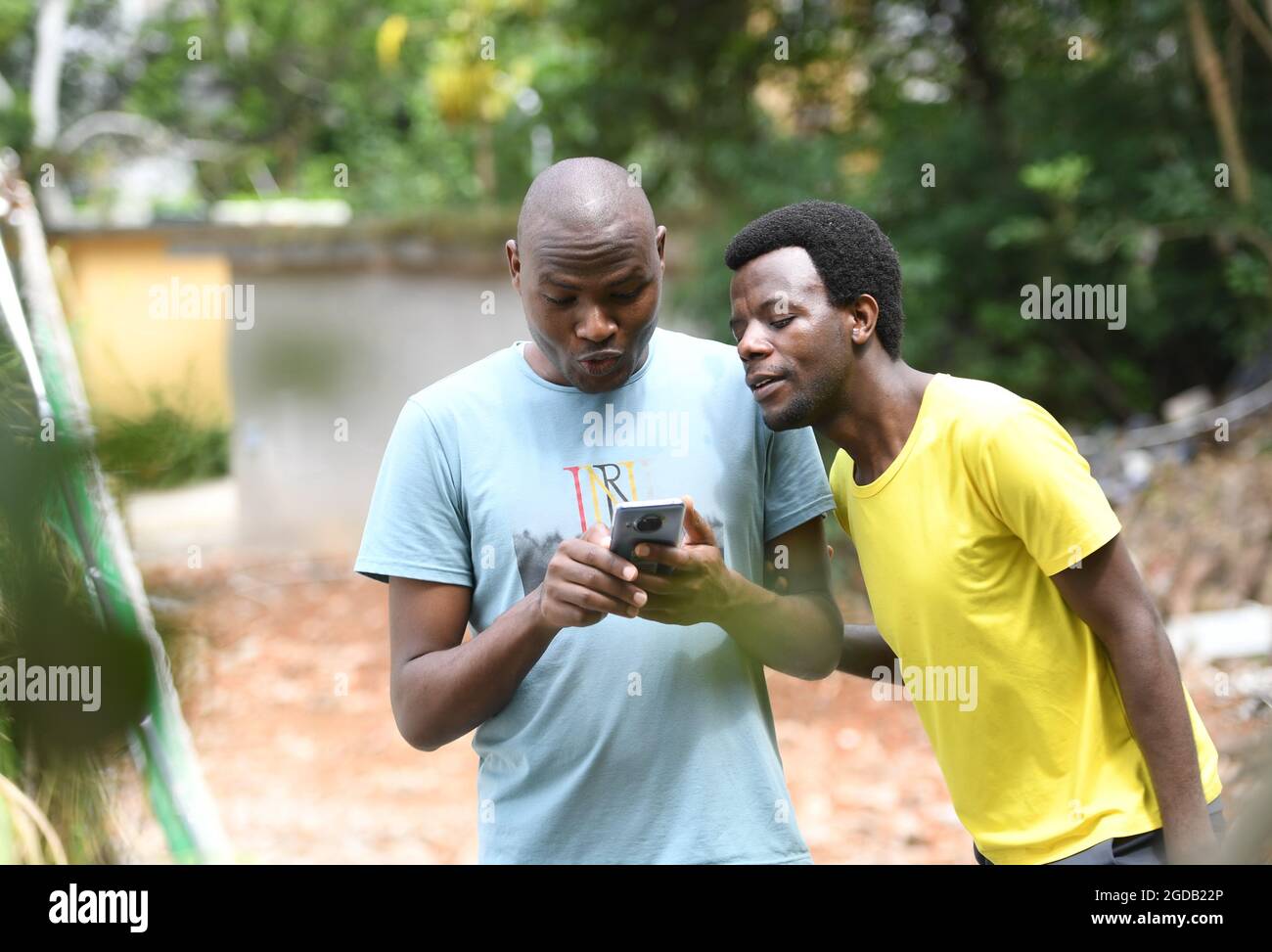 (210812) -- FUZHOU, Aug. 12, 2021 (Xinhua) -- Rwandan student Obed Niyimbabazi (R) and Kenyan student Eyalira Jacob Okal watch video about Juncao grass on a smart phone in Fuzhou, southeast China's Fujian Province, Aug. 12, 2021.  China has shared the agricultural technology with over 100 countries. Its use can help increase local income through low-cost mushroom cultivation and contain desertification.   Fujian Agriculture and Forestry University has trained many experts of Juncao technology for African countries since it established the National Engineering Research Center of Juncao. (Xinhua Stock Photo