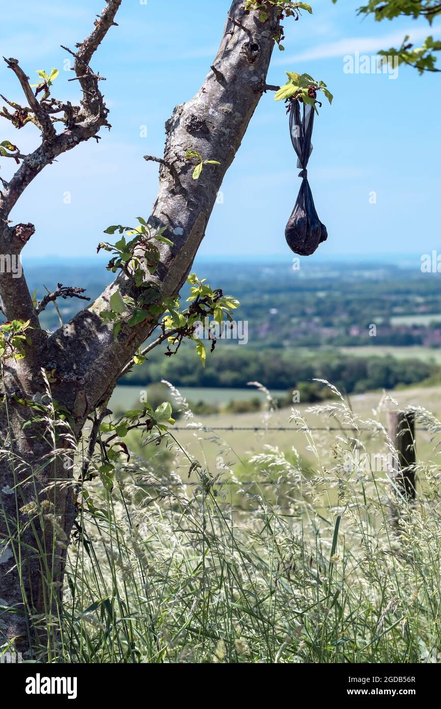 Dog poo bag tree hi-res stock photography and images - Alamy