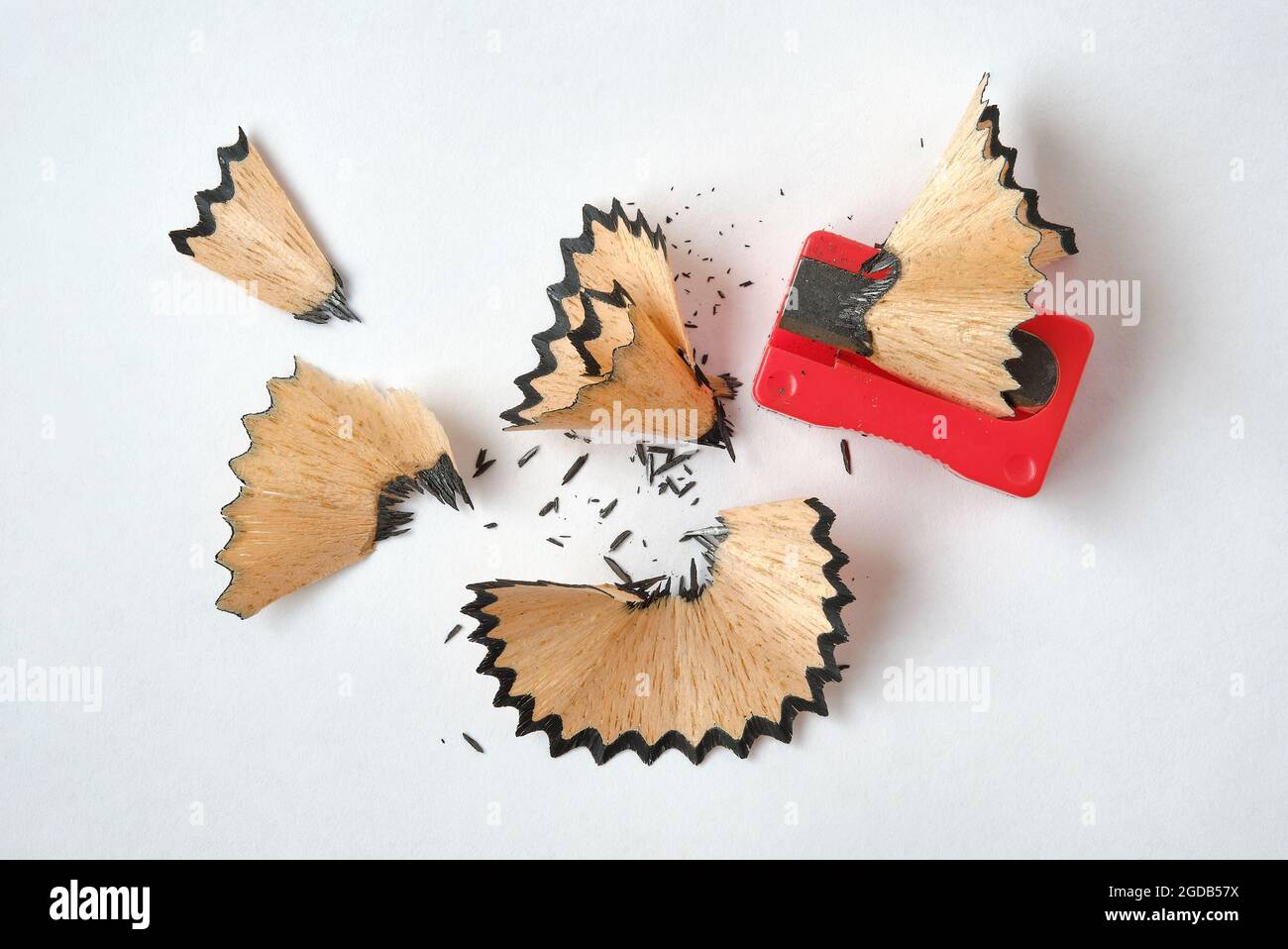 Pencil Shaving, Red Pencil Sharpener on White Background. Stock Photo
