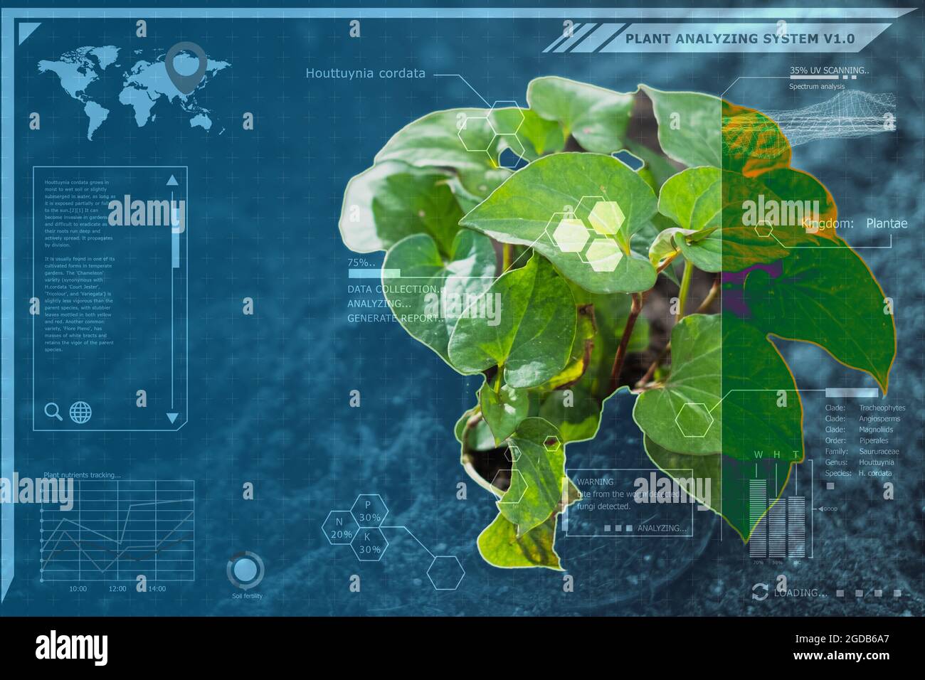 Plant technology botany identify computer system, graphic simulation for advance innovation platform for Precision Agriculture and Environment Big Dat Stock Photo