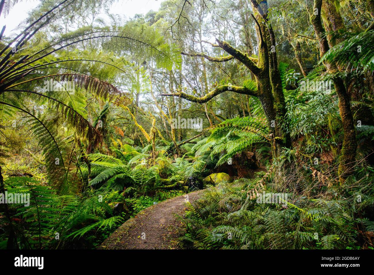 The popular Hopetoun Falls and surrounds after fierce winter storms