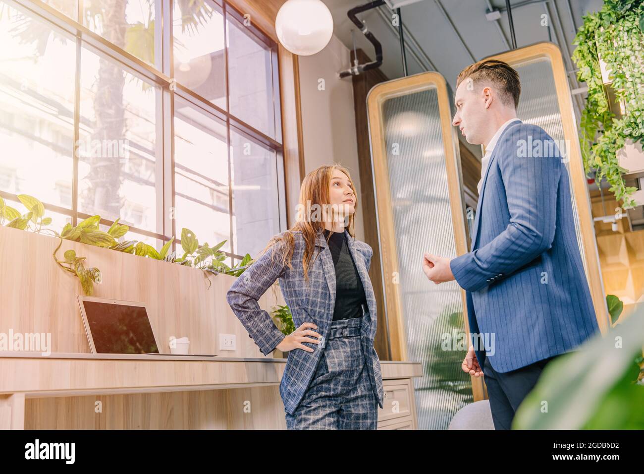 Businesspeople talking together in modern office green plant decoration for business contact or connection meeting. Stock Photo
