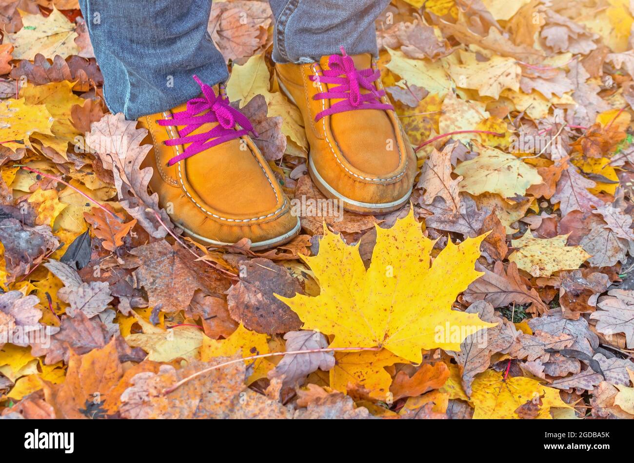 Concept-autumn is coming. Boots of red yellow color with bright laces ...