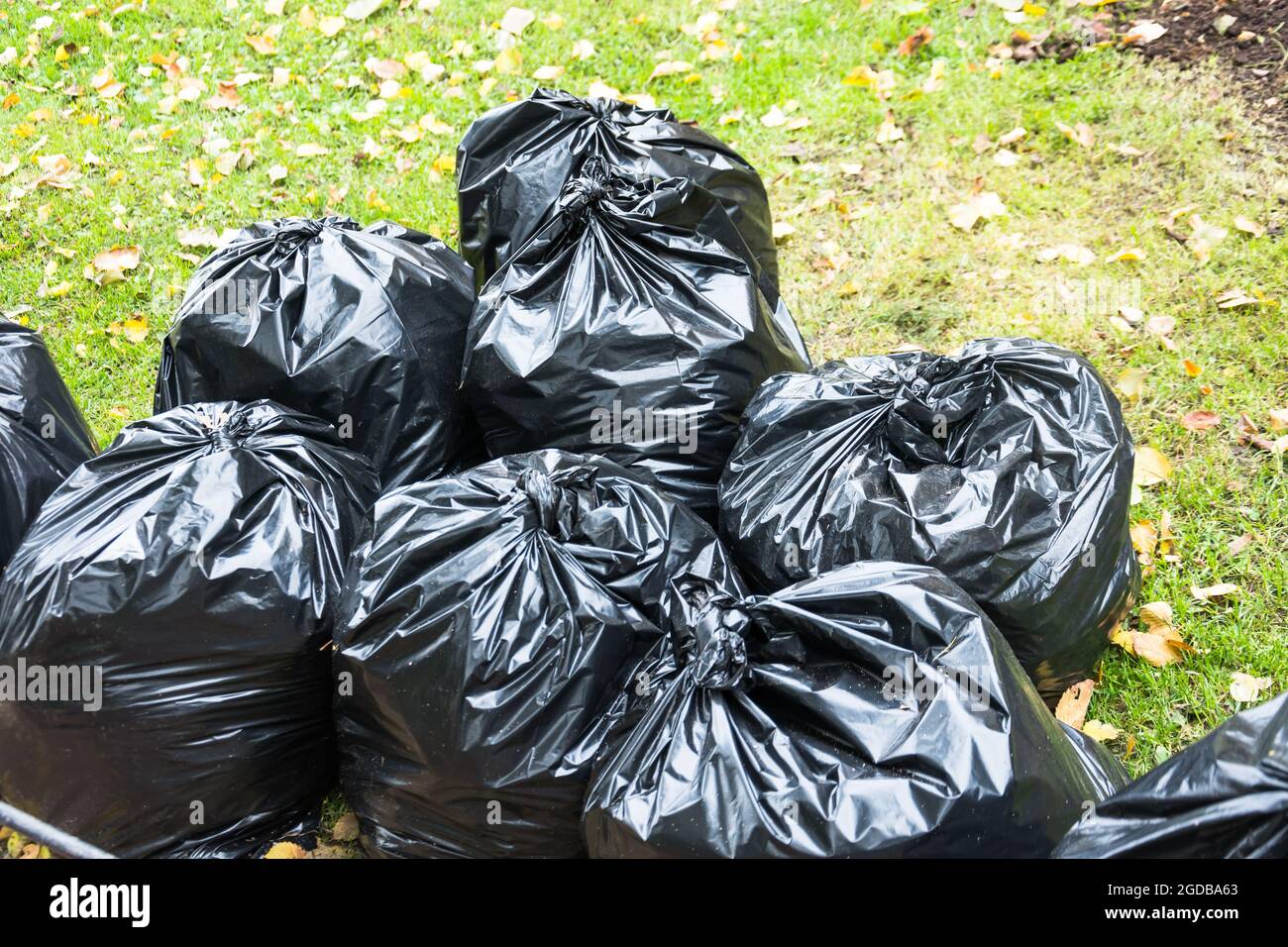 Black trash bags in the park in early autumn Stock Photo