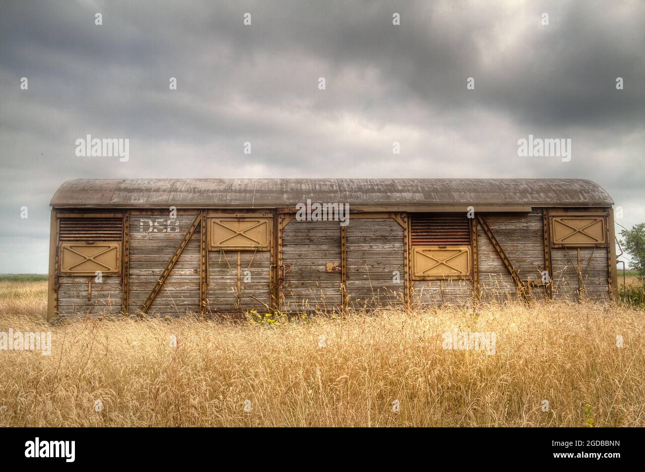 Old, abondoned freight train wagon in field under dark clouds Stock Photo