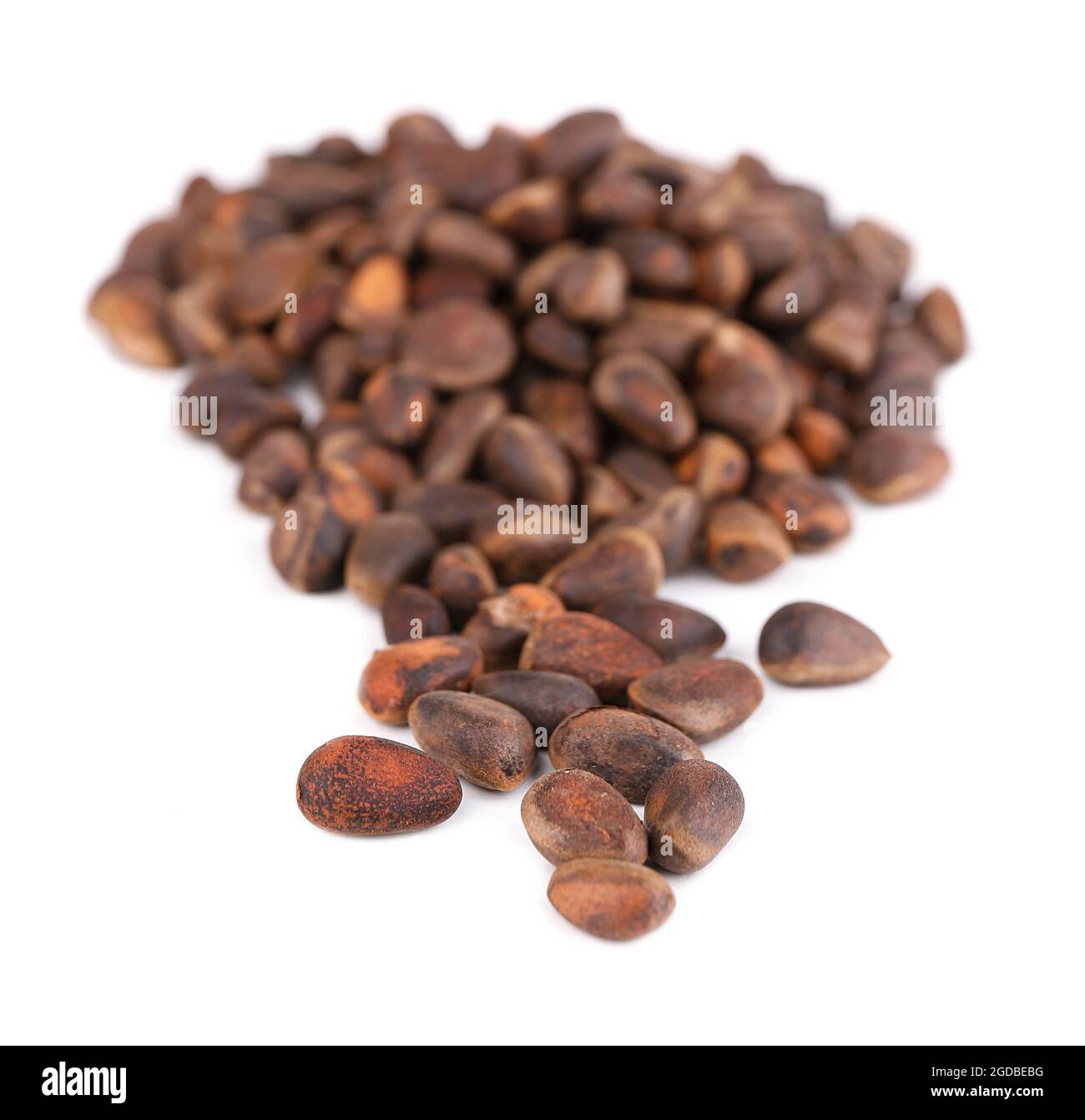 Cedar pine nuts isolated on white Stock Photo Alamy