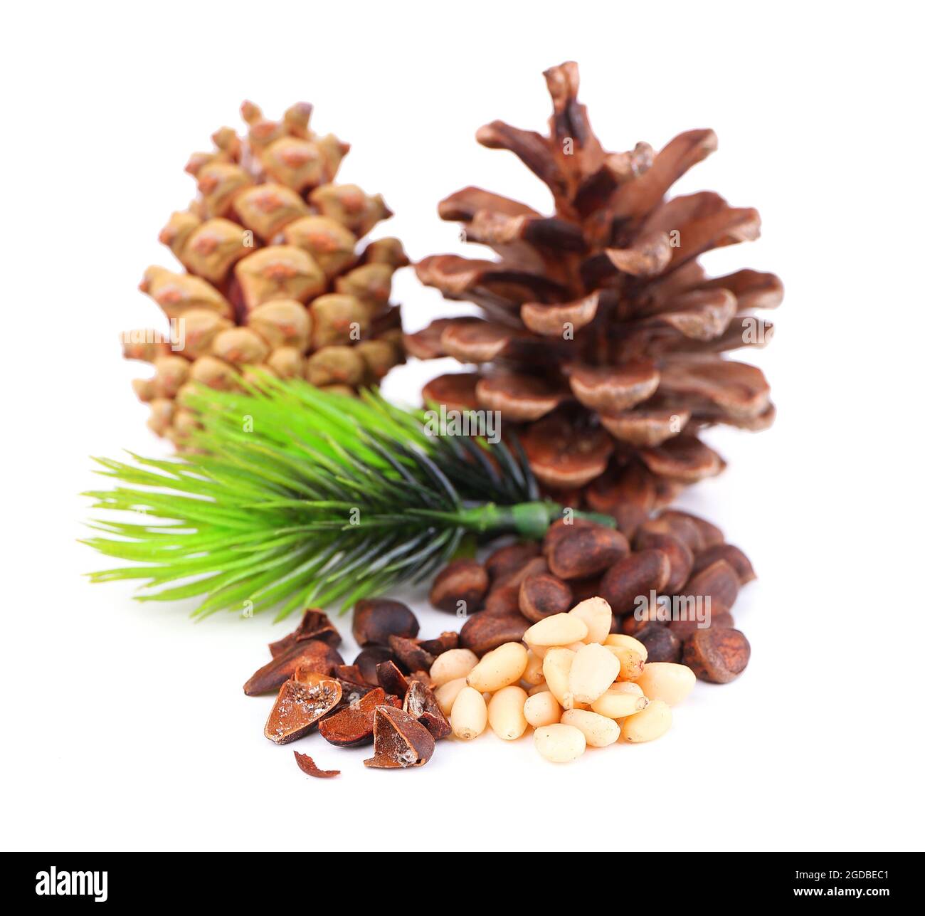 Cedar pine nuts isolated on white Stock Photo Alamy
