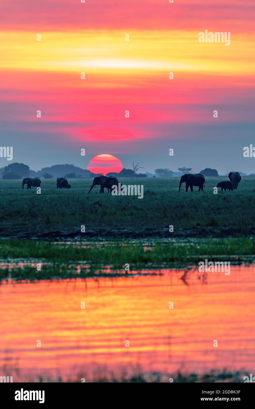 Sundown over the Chobe River Stock Photo