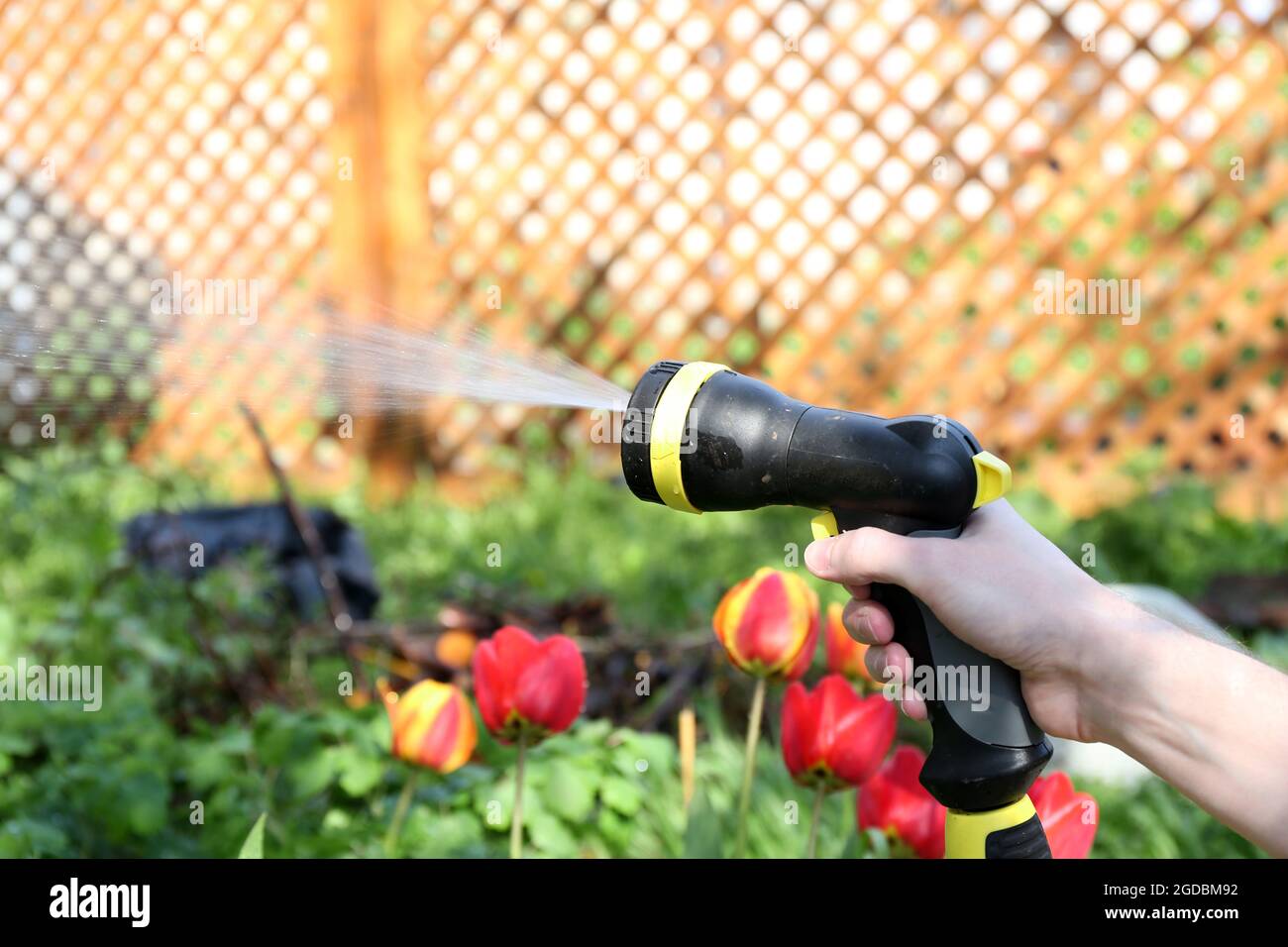 Page 9 - Hand Holding Garden Hose High Resolution Stock Photography and  Images - Alamy