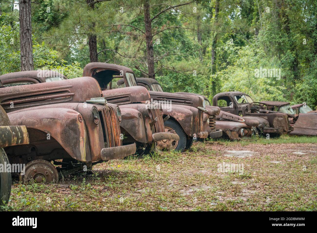 barnfind #rural #pickup #carros #abandonados #resgate #projectcarbr #