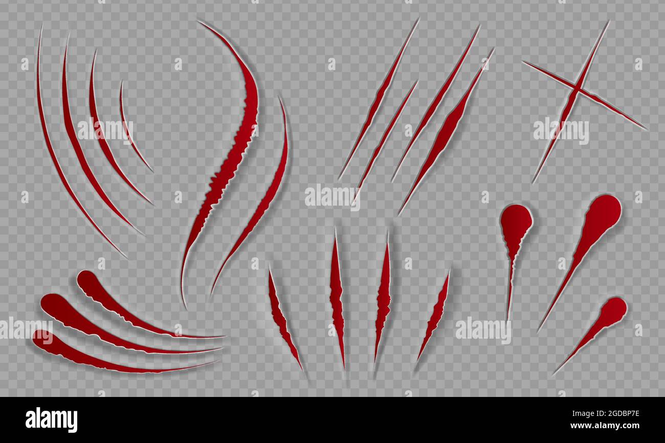 Blood scratches and cuts. Bloody scars and sharp slashes. Ripped wounds by animal paws. Halloween scary decor. Cat claws tracks vector set Stock Vector