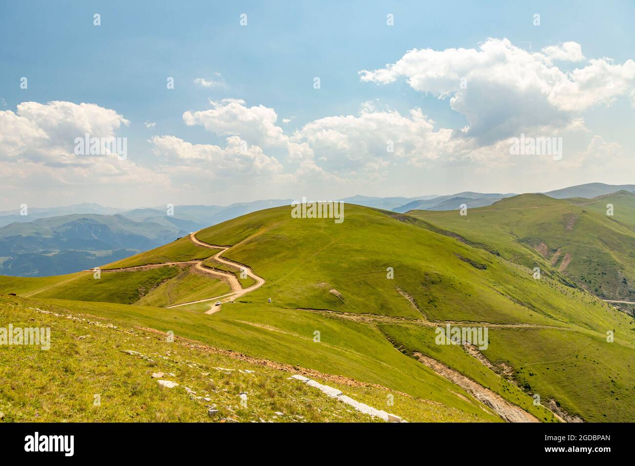 Animals graze in the wonderful highlands of the Black Sea with its green nature, Gumushane, Turkey Stock Photo