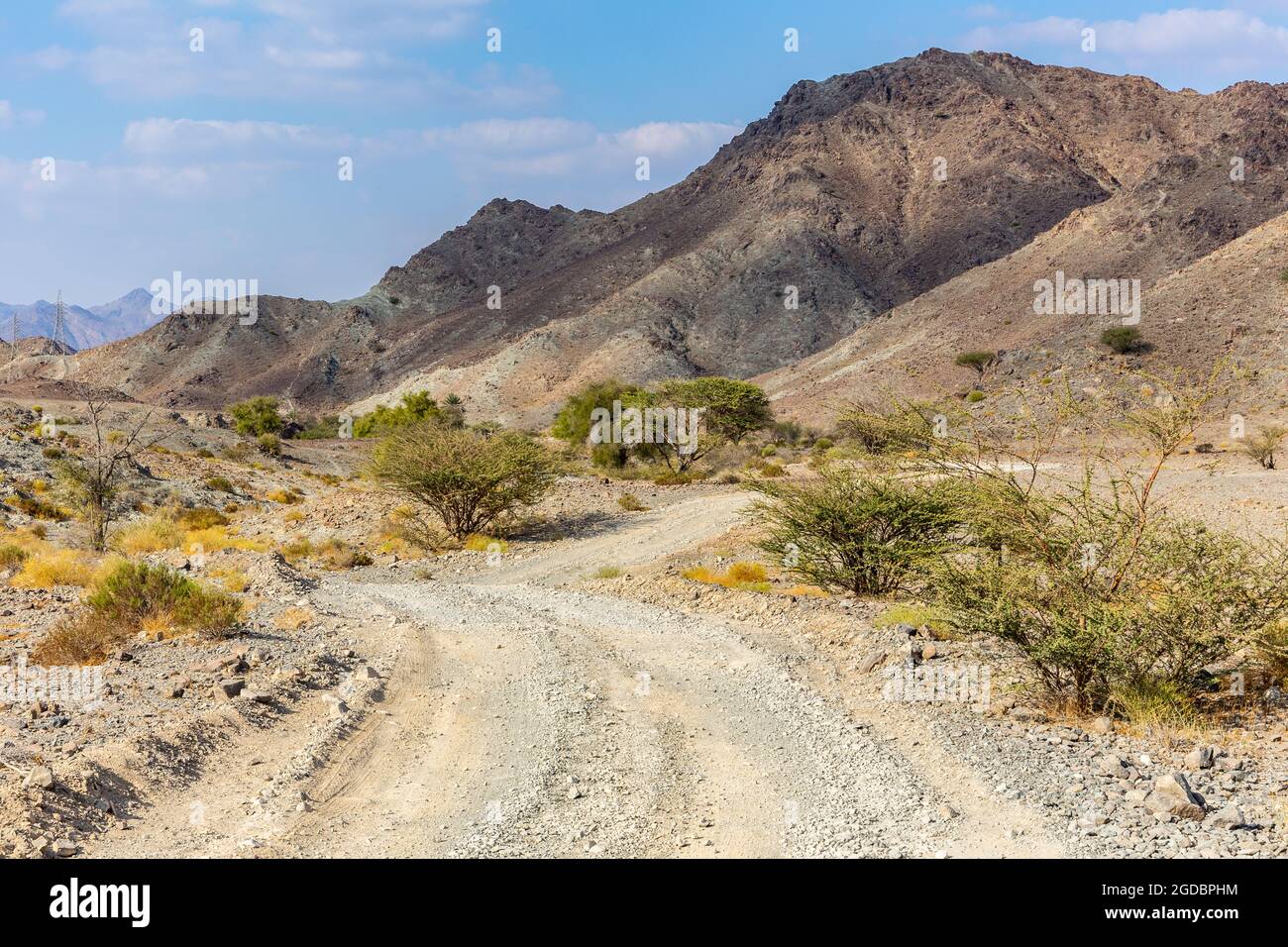 Copper Hike trail, winding gravel dirt road through Wadi Ghargur riverbed and rocky limestone Hajar Mountains in Hatta, United Arab Emirates. Stock Photo