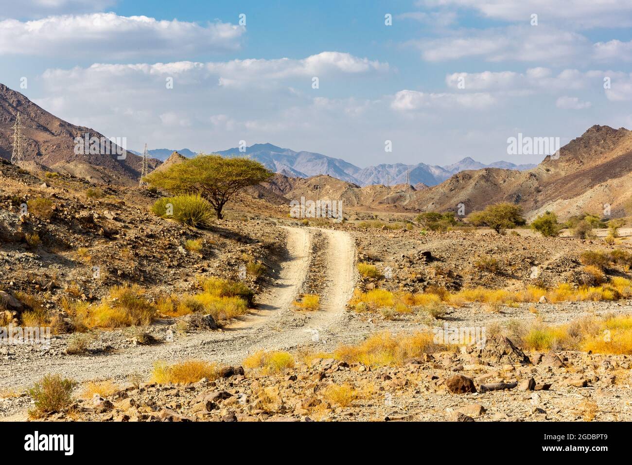 Copper Hike trail, winding gravel dirt road through Wadi Ghargur riverbed and rocky limestone Hajar Mountains in Hatta, United Arab Emirates. Stock Photo