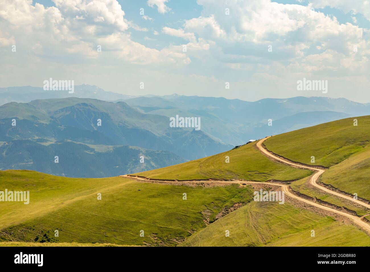 Animals graze in the wonderful highlands of the Black Sea with its green nature, Gumushane, Turkey Stock Photo