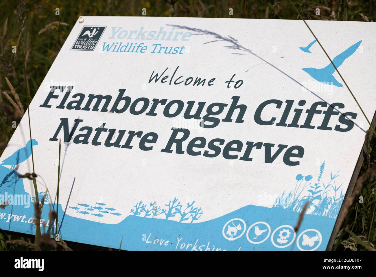 Flamborough Cliffs Nature Reserve sign, part of Yorkshire Wildlife Trust, Flamborough Head, Flamborough Yorkshire UK Stock Photo