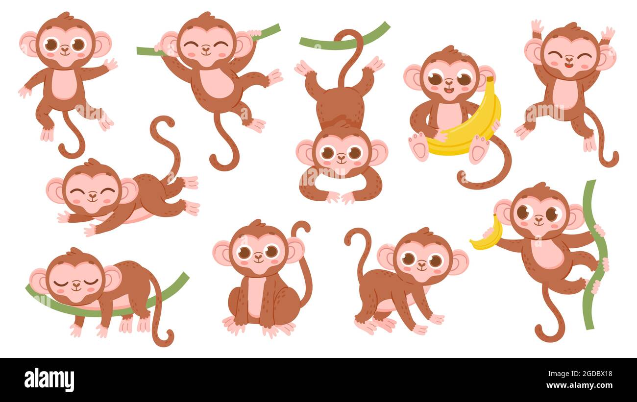 Cute cartoon jungle baby monkey character poses. Exotic tropical animal mascot, ape jumping on tree, holding banana and sleeping vector set Stock Vector