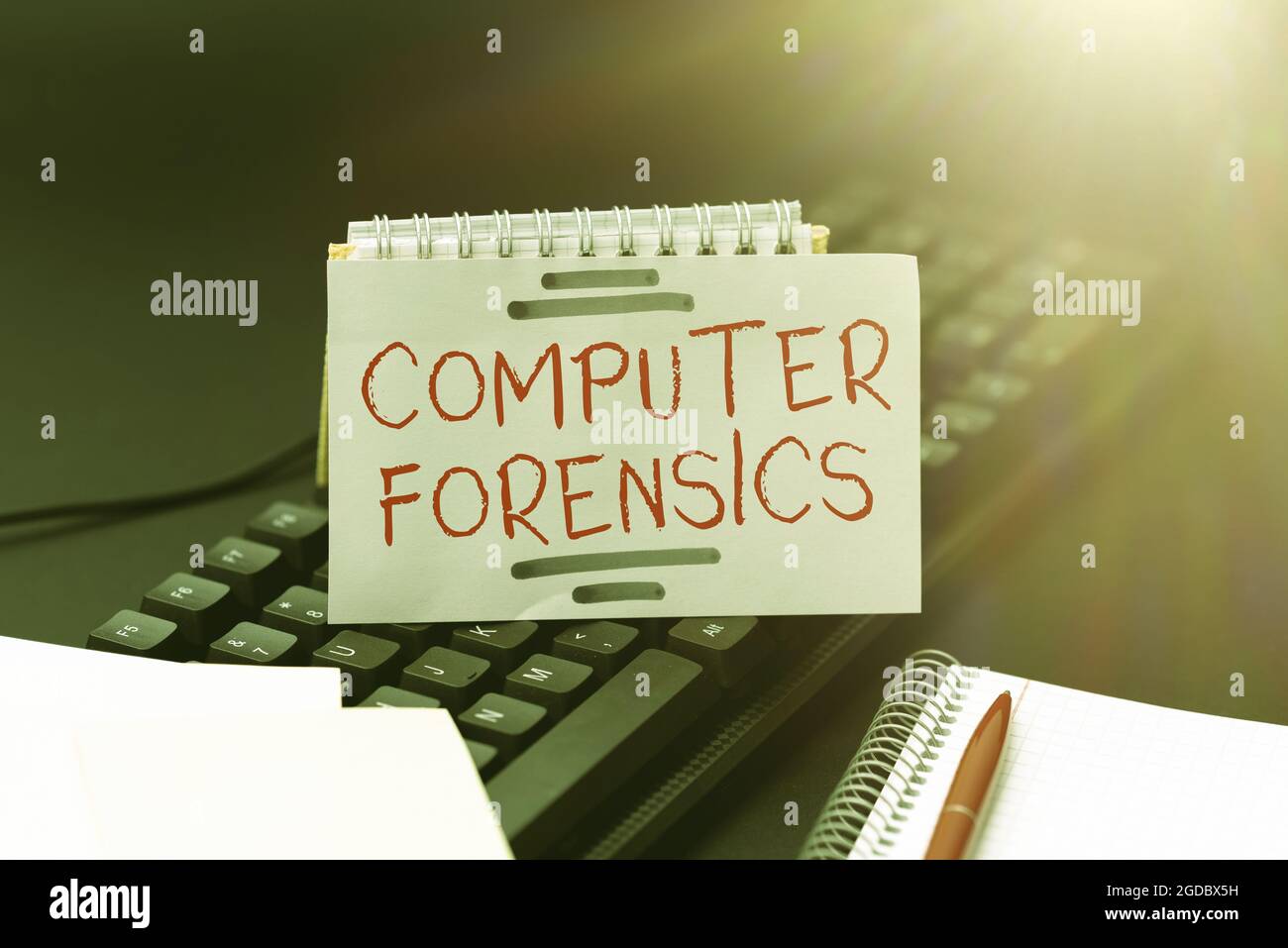 Conceptual caption Computer Forensics. Business idea the investigative analysis techniques on computers Publishing Typewritten Documents Online Stock Photo