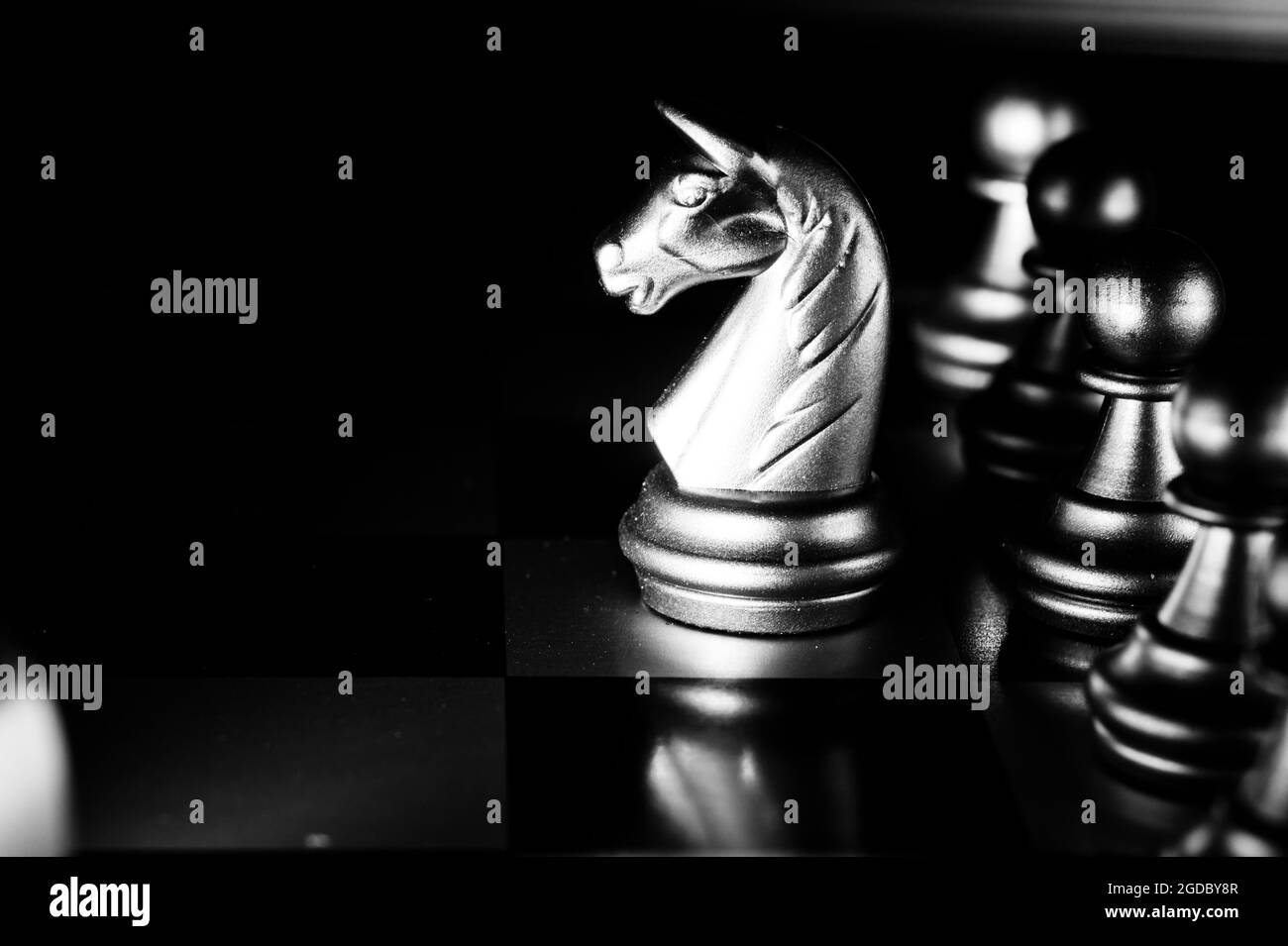 Chessboard Paws Black Background Images, HD Pictures and Wallpaper