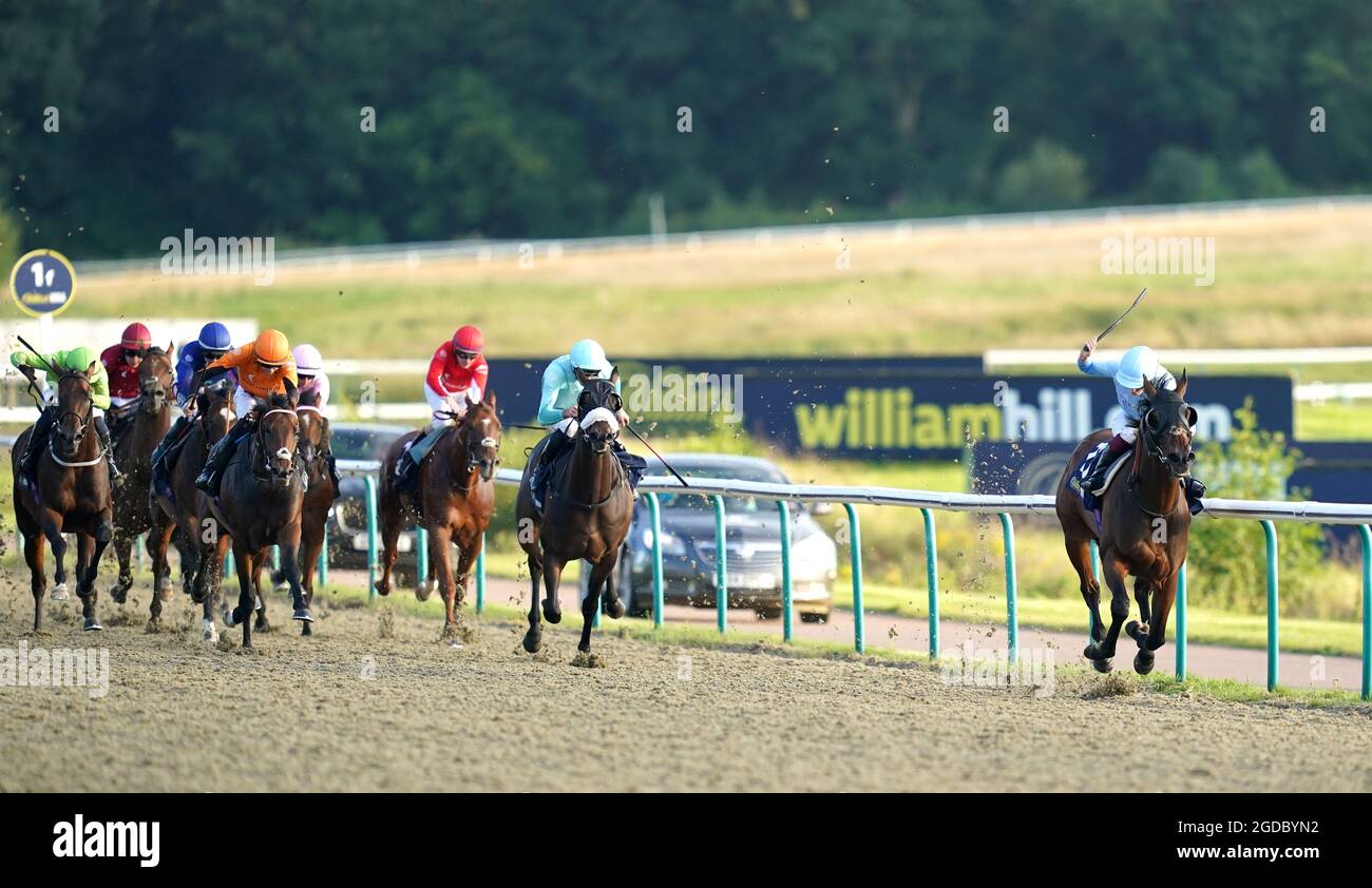 Race horse with steward hires stock photography and images Alamy