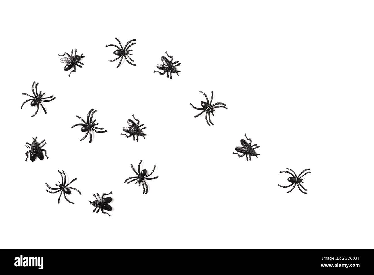 Cartoon Halloween background black insects on isolated white backdrop. Flat lay style. Halloween abstract background. Copy space. Stock Photo