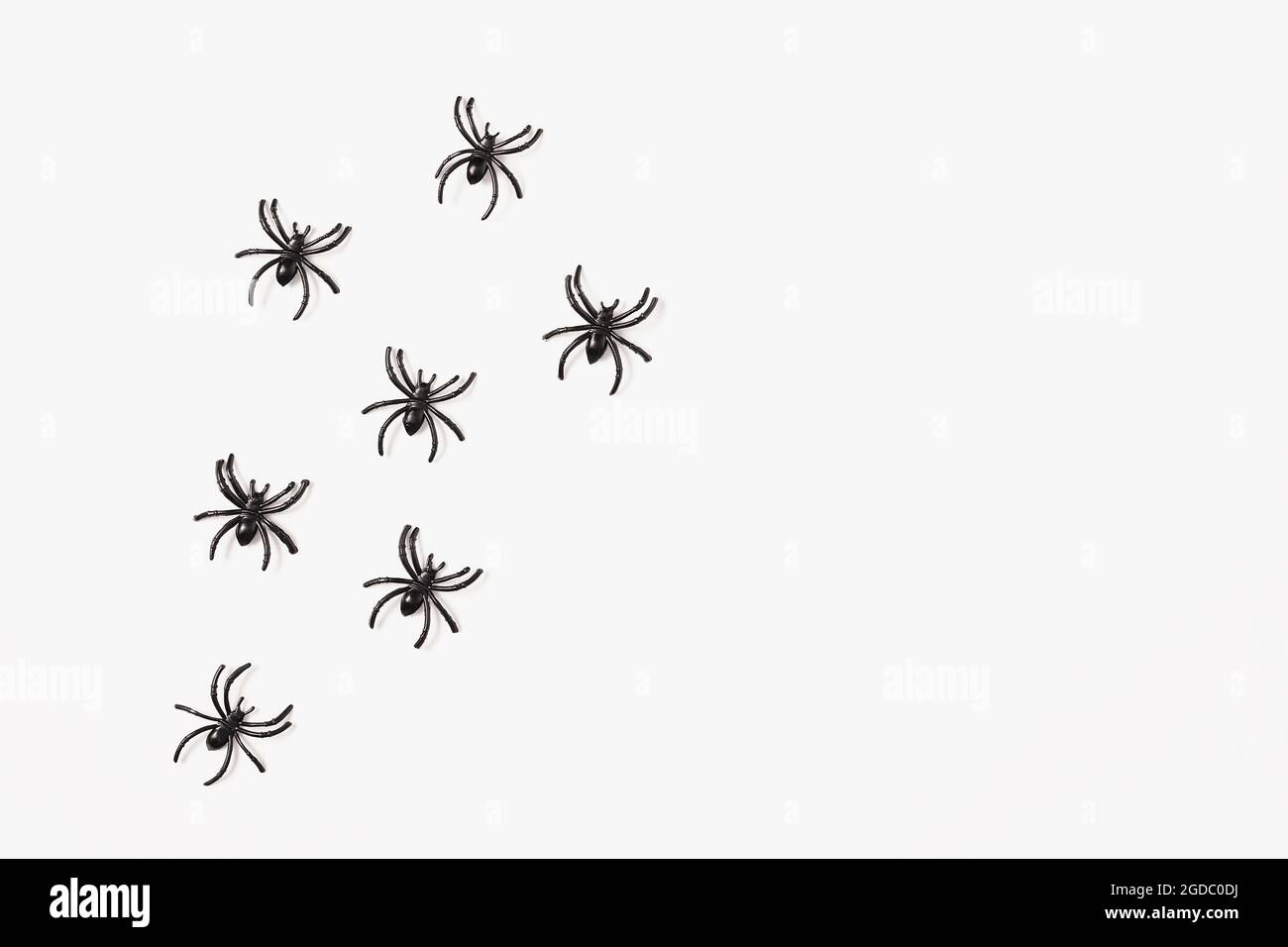 Cartoon Halloween background black spiders on isolated white backdrop. Flat lay style. Halloween abstract background. Copy space. Stock Photo