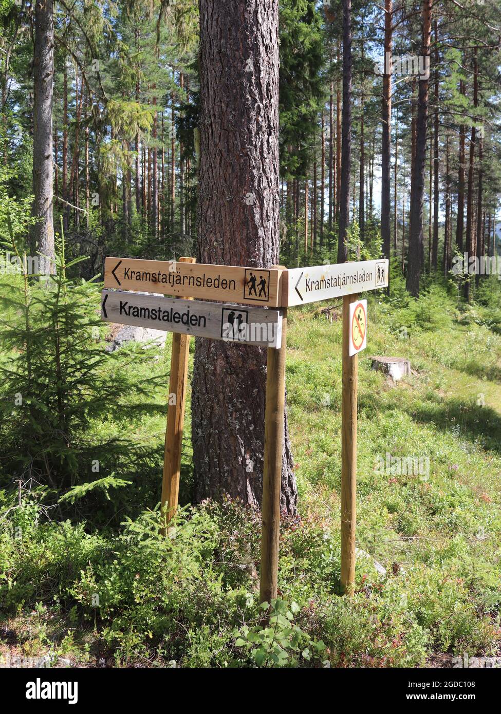 Talabalar porno orgiyalari Dumba vilkasini qanday kiyish kerak (porno)