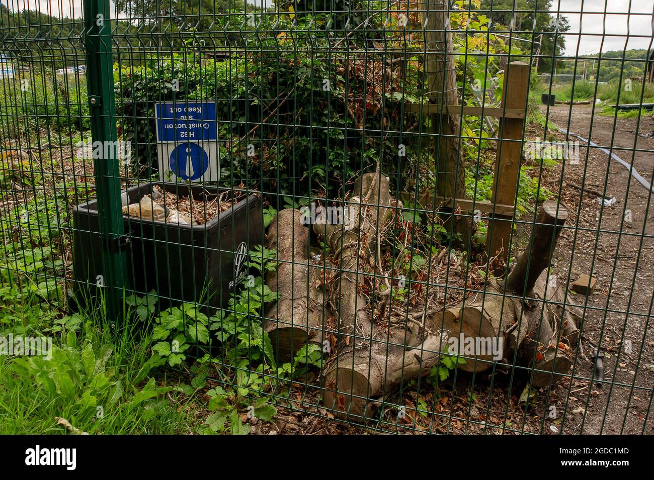 Wendover, Buckinghamshire, UK. 10th August, 2021. Tree limbs from trees felled by HS2 thrown on the ground at Road Barn Farm. Credit: Maureen McLean/Alamy Stock Photo