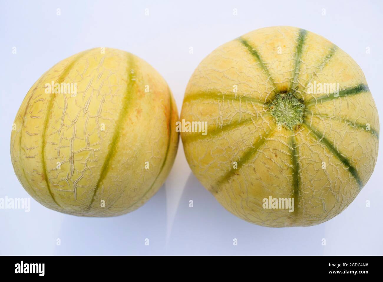 Topview and sideview of Muskmelon and Cantaloupe Fruits on white background. Light yellow textured with light green lined pattern on melons Stock Photo