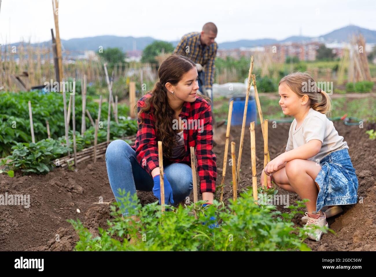 Daughter helps mother clean weeds in farmer garden beds Stock Photo - Alamy