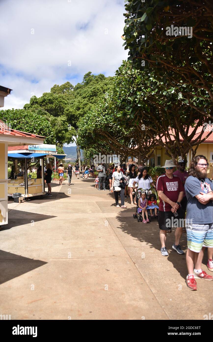 Oahu HI U.S.A. 6/3&6/2021. Dole Plantation. Gardens. Pineapple Express