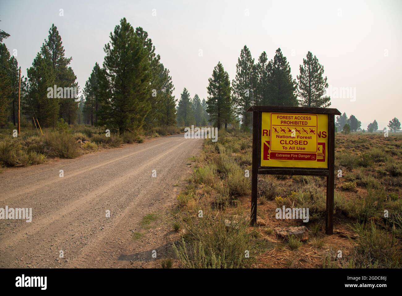 Lassen National Park - Naturalists at Large - Environmental education,  mixed conifer forests, red fir forests, subalpine areas, volcanoes,  Manzanita lake, Northern California