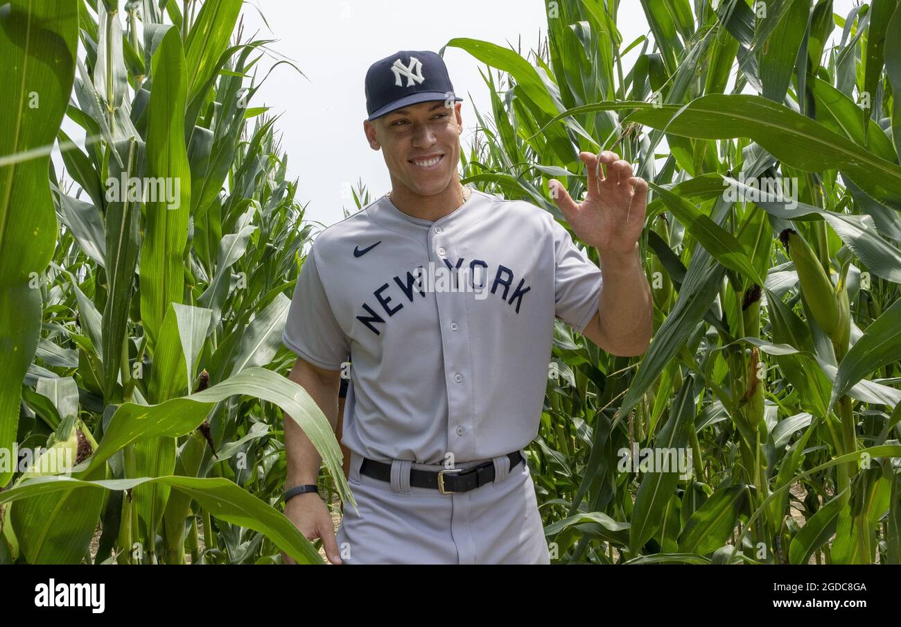 Dyersville, United States. 12th Aug, 2021. New York Yankees star Aaron Judge  walks through the cornfield from the movie set Field of Dreams as he gets  ready for game at an adjacent