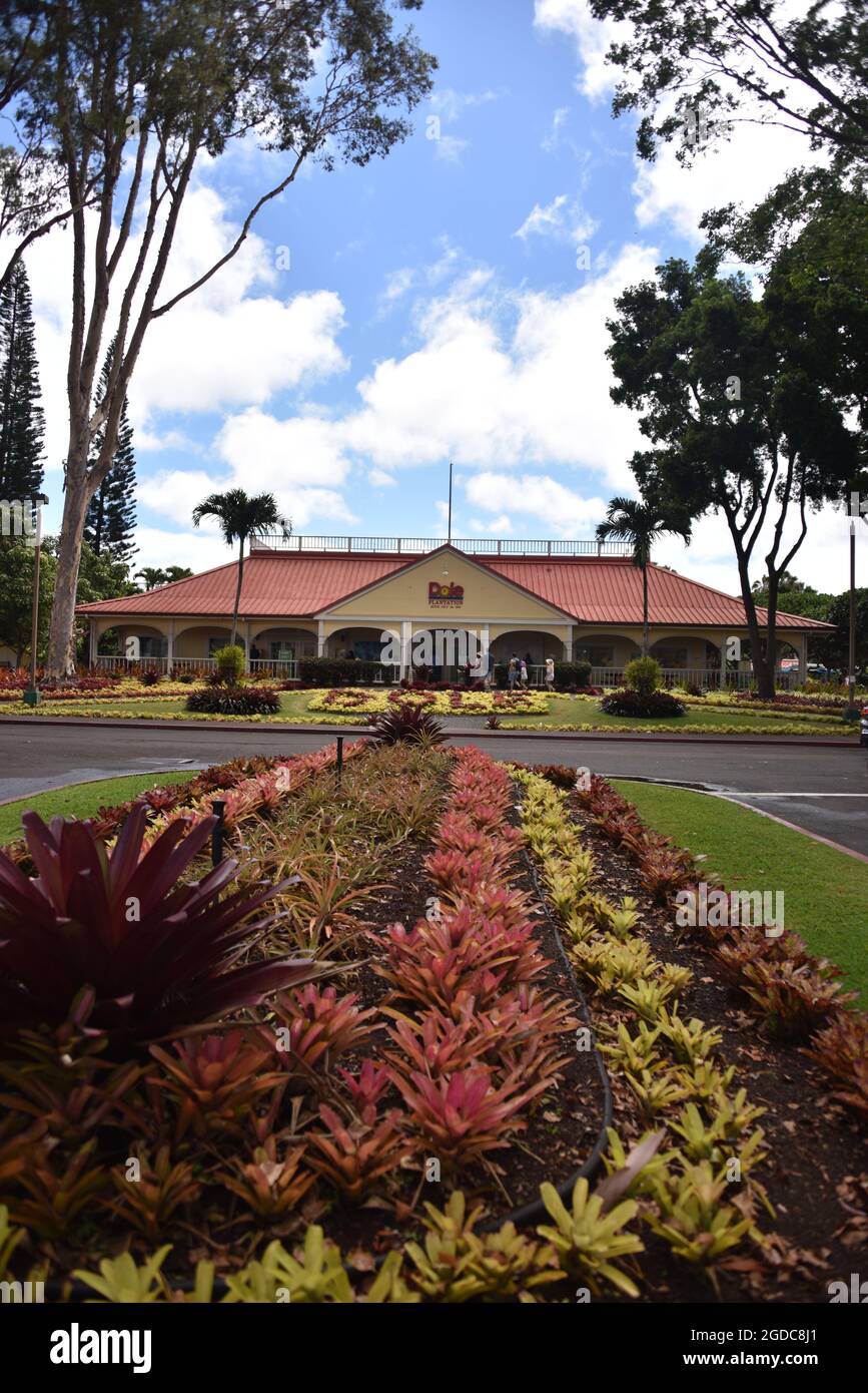 Oahu HI U.S.A. 6/3&6/2021. Dole Plantation. Gardens. Pineapple Express