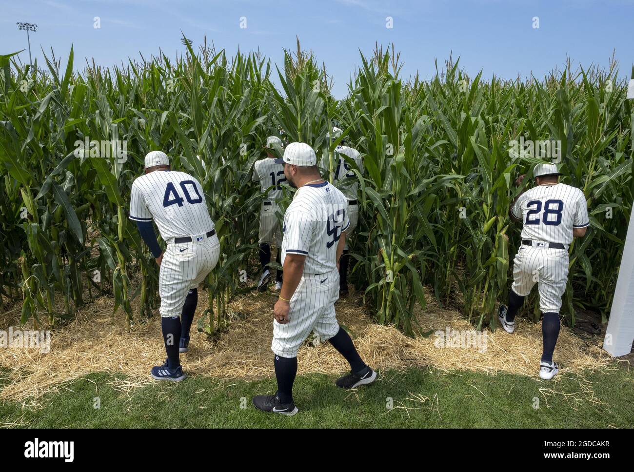 Field of dreams movie set hires stock photography and images Alamy