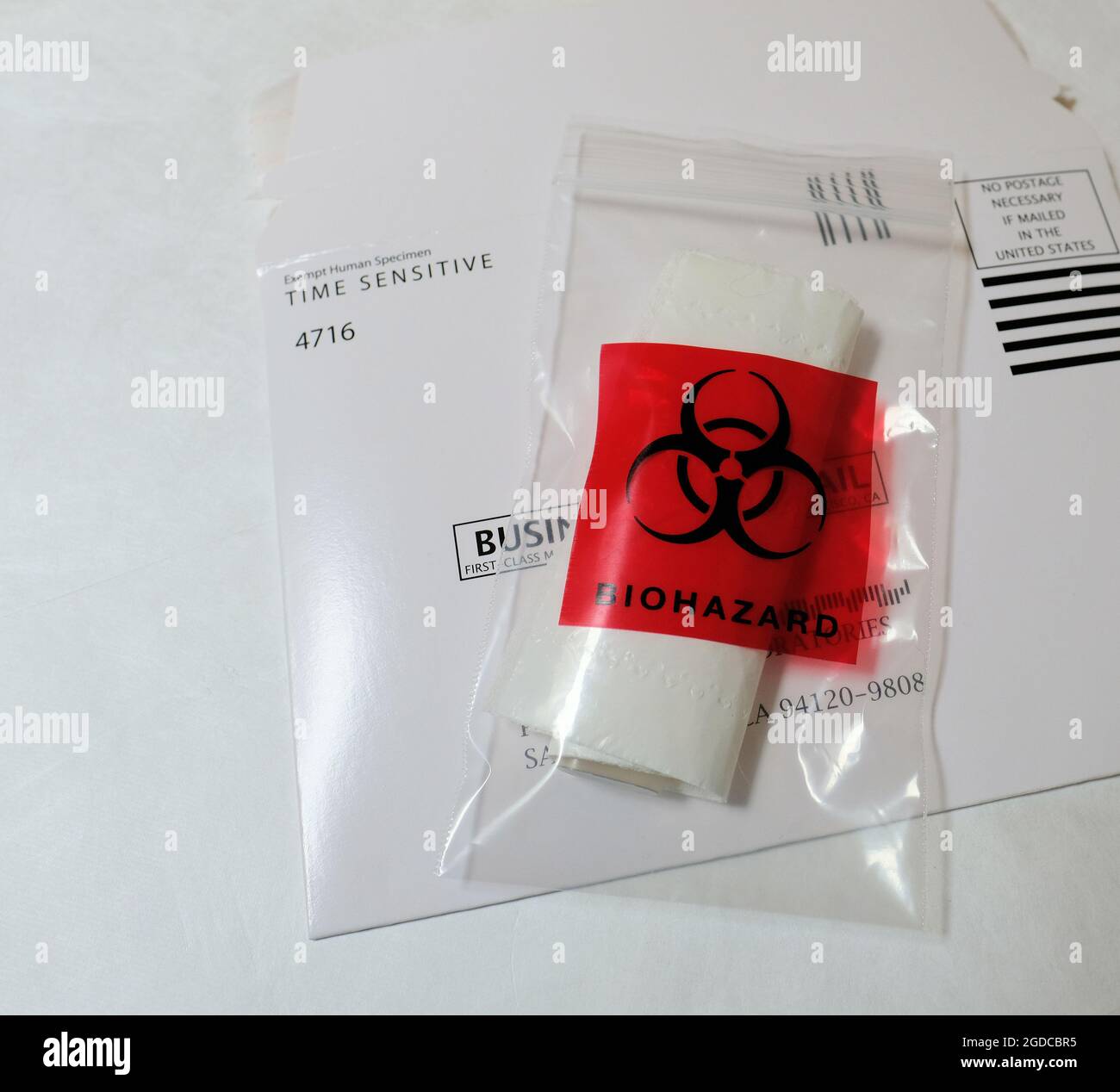 Clear plastic zip lock biohazard specimen bag with carboard mailing