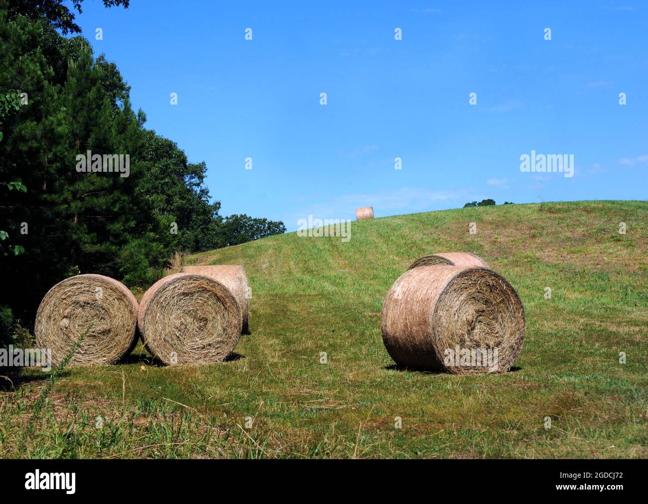 Hay bales are ready for storage on a farm in the Ozark Mountains of