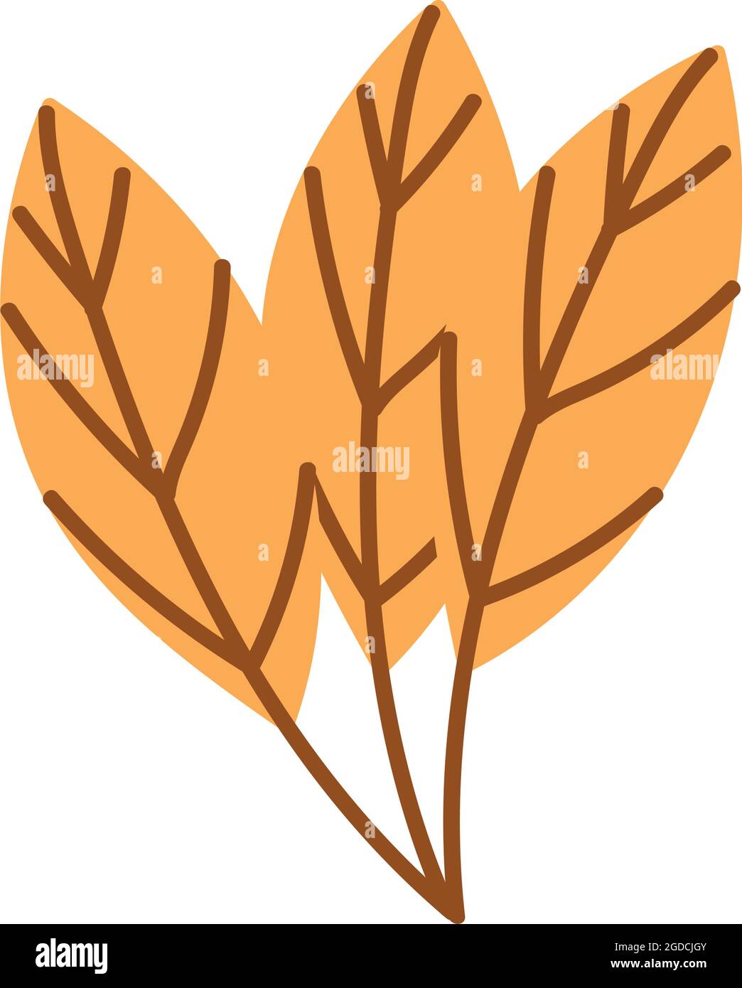 autumn leaves nature Stock Vector Image & Art - Alamy