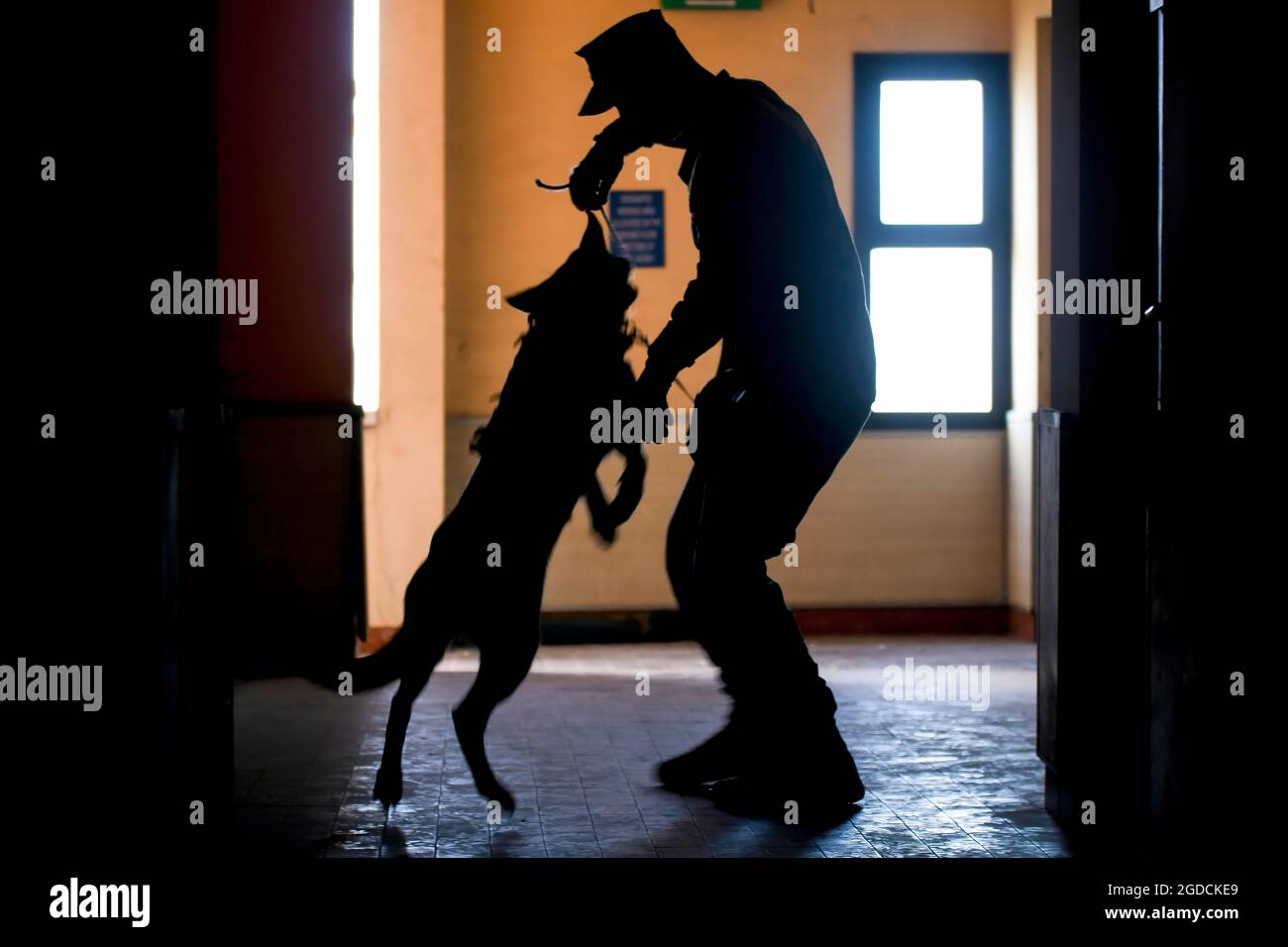Master-at-Arms 2nd Class Devon Weston, assigned to Naval Support Activity Naples security department, and Military Working Dog Debi, participate in an explosive detection evolution, Feb. 11, 2021. NSA Naples is an operational ashore base that enables U.S., allied, and partner nation forces to be where they are needed, when they are needed to ensure security and stability in Europe, Africa, and Southwest Asia. (U.S. Navy photo by Mass Communication Specialist 1st Class Donavan K. Patubo) Stock Photo