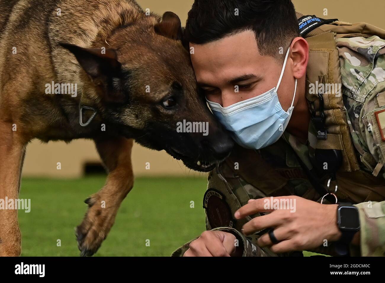 U.S. Air Force Senior Airman Armando Mendiola, 355th Security Forces Squadron military working dog handler, and Ootter, 355th SFS MWD, perform a demonstration at Davis-Monthan Air Force Base, Arizona, Feb. 16, 2021. Bonds between a handler and dog is crucial to the success of each MWD team. (U.S. Air Force photo by Staff Sgt. Sergio A. Gamboa) Stock Photo