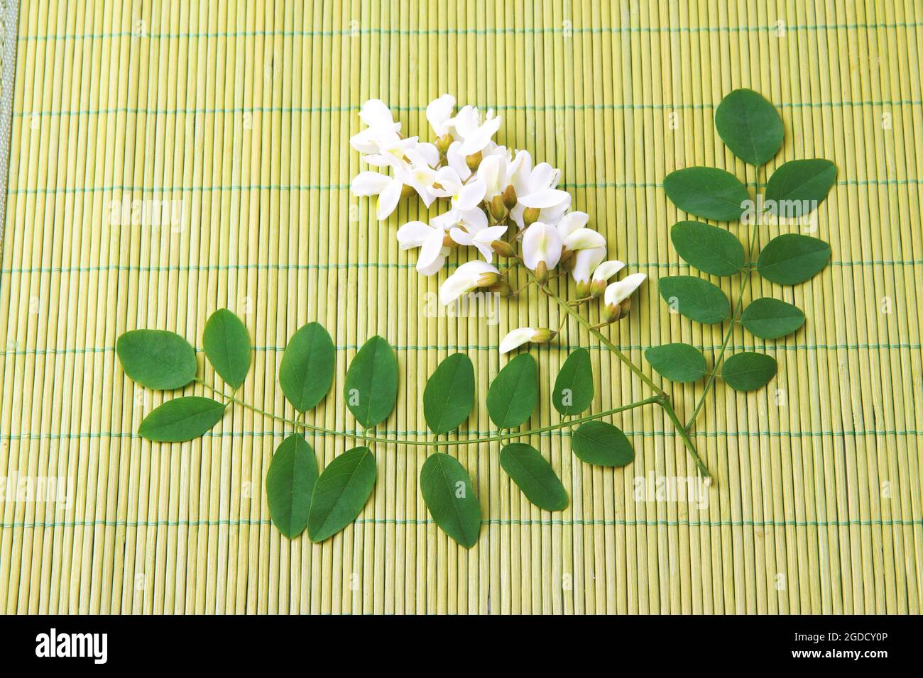 Acacia flowers on bamboo mat background Stock Photo Alamy