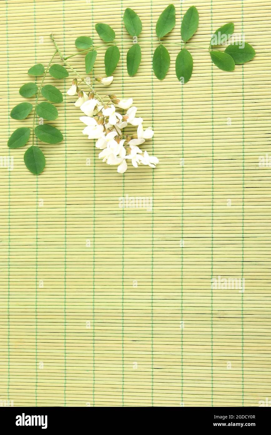 Acacia flowers on bamboo mat background Stock Photo Alamy