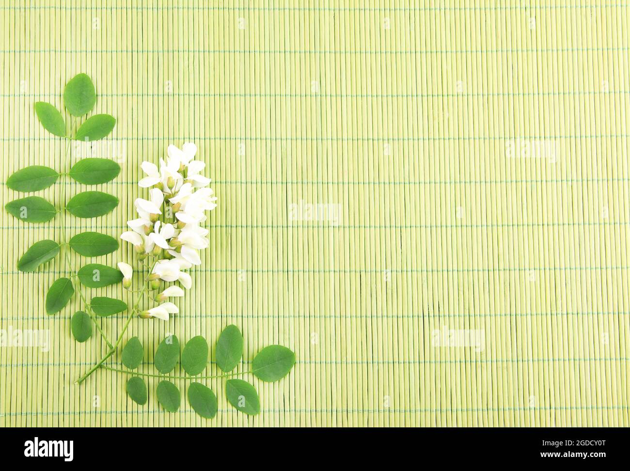 Acacia flowers on bamboo mat background Stock Photo Alamy