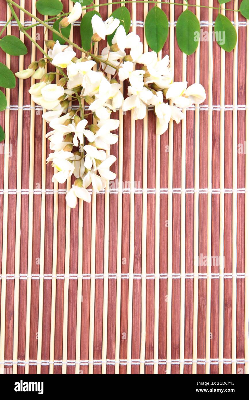 Acacia flowers on bamboo mat background Stock Photo Alamy