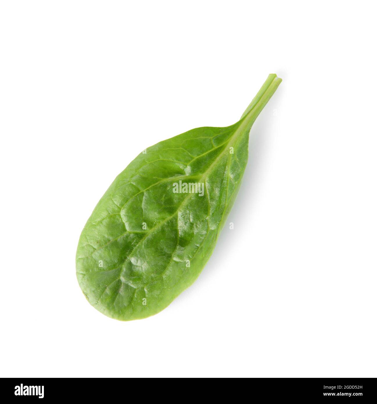 Fresh spinach leaf on white background Stock Photo - Alamy