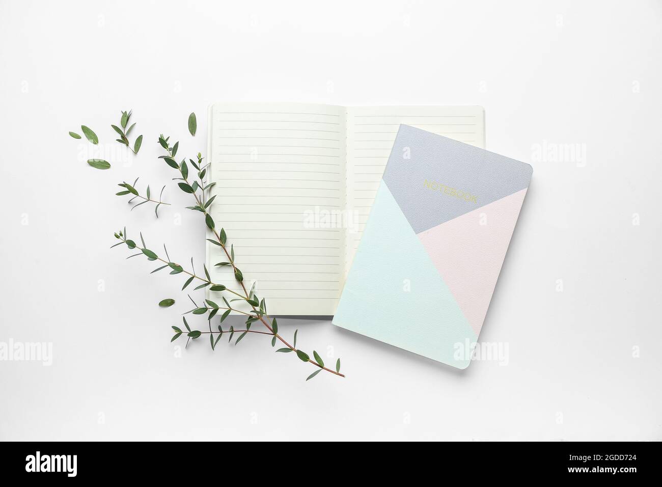 Notebook with eucalyptus branches on white background Stock Photo