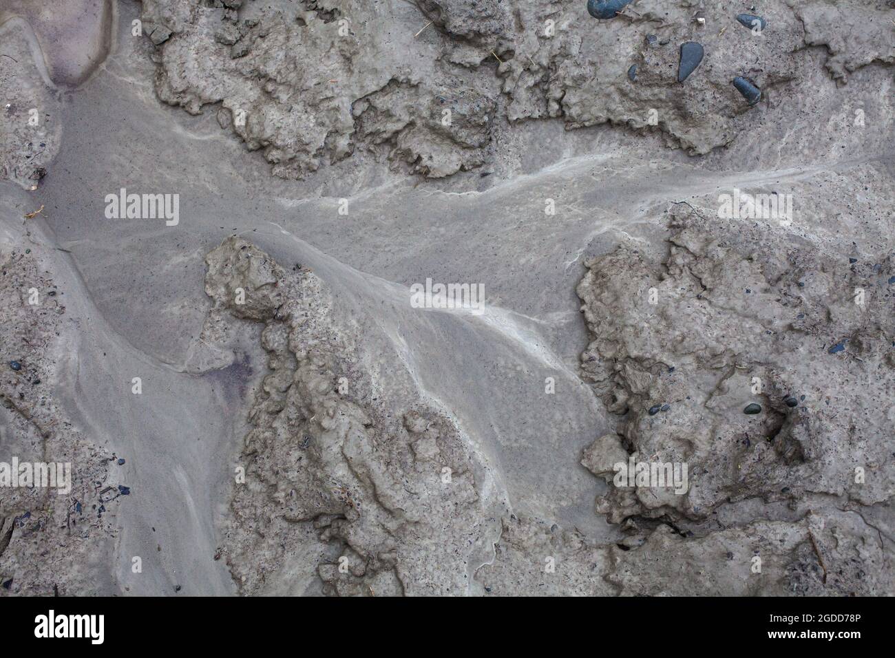 Microscale geographical features in silt after a river flood. The landscape looks like