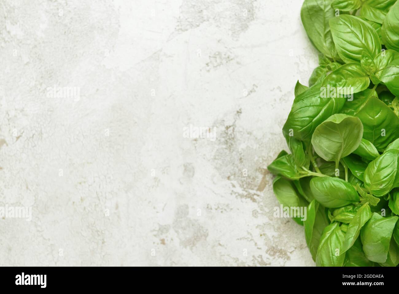 Fresh basil leaves on light background Stock Photo - Alamy